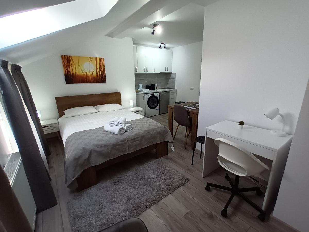 Old Town Studio Apartments Baia Mare Exterior photo