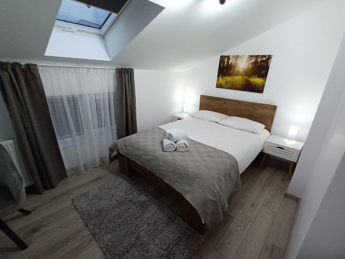 Old Town Studio Apartments Baia Mare Exterior photo