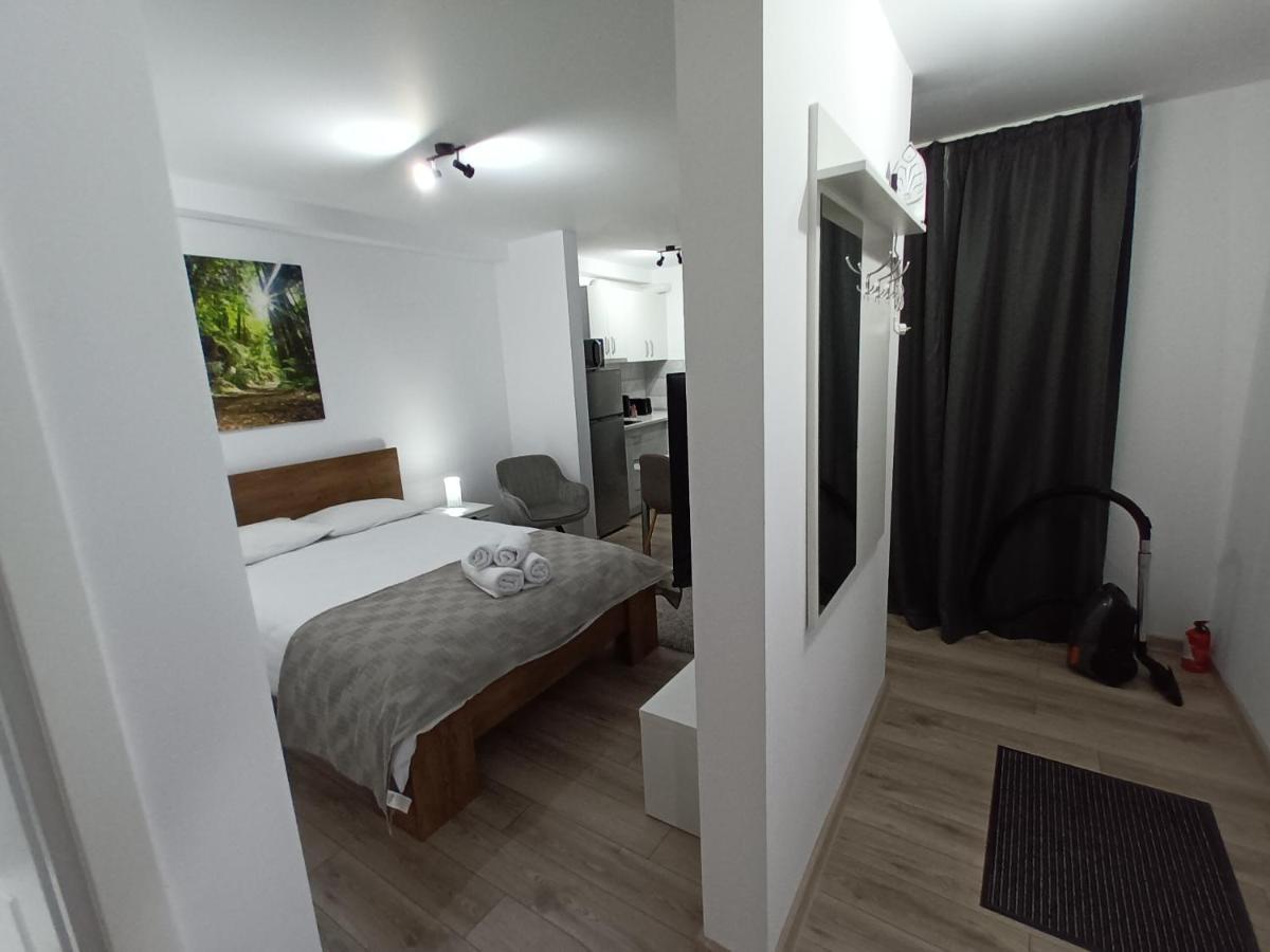 Old Town Studio Apartments Baia Mare Exterior photo