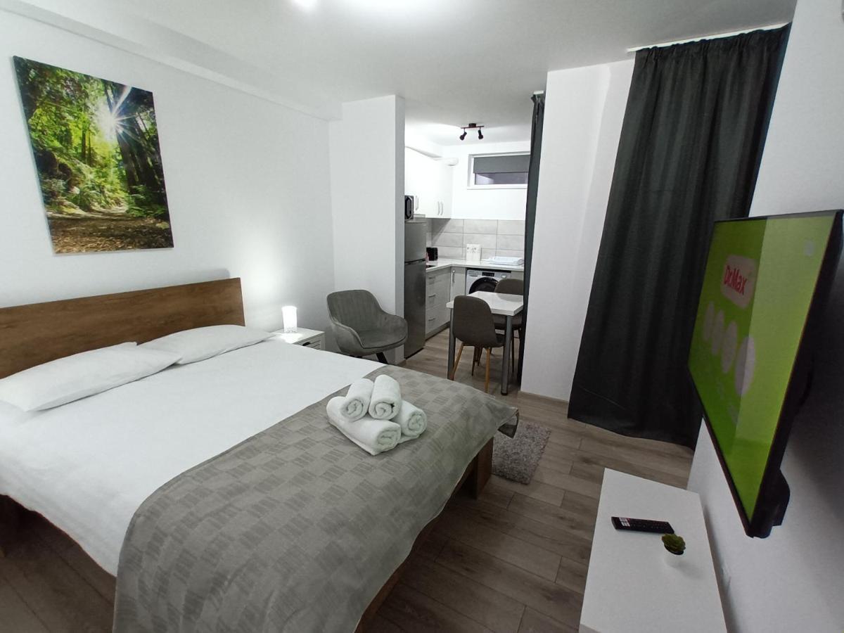 Old Town Studio Apartments Baia Mare Exterior photo